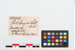 Etiketten zu Glasringperle (NHMW-PRAE-023906)